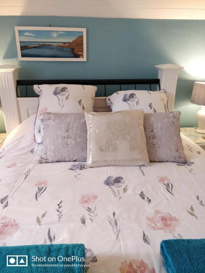 Maison Papillons Plomodiern Екстер'єр фото